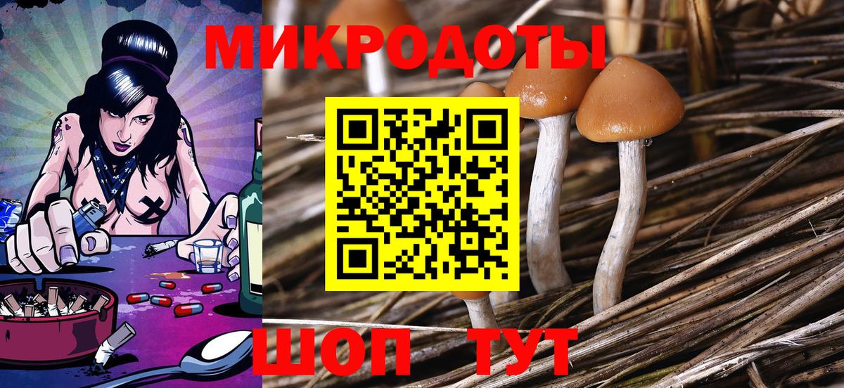 Псилоцибиновые грибы Psilocybine cubensis Каменск-Уральский