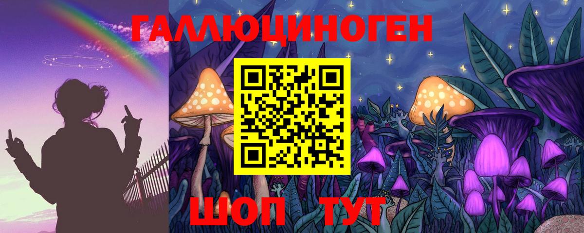 Каменск-Уральский  Галлюциногенные грибы GOLDEN TEACHER  Вход с VPN 